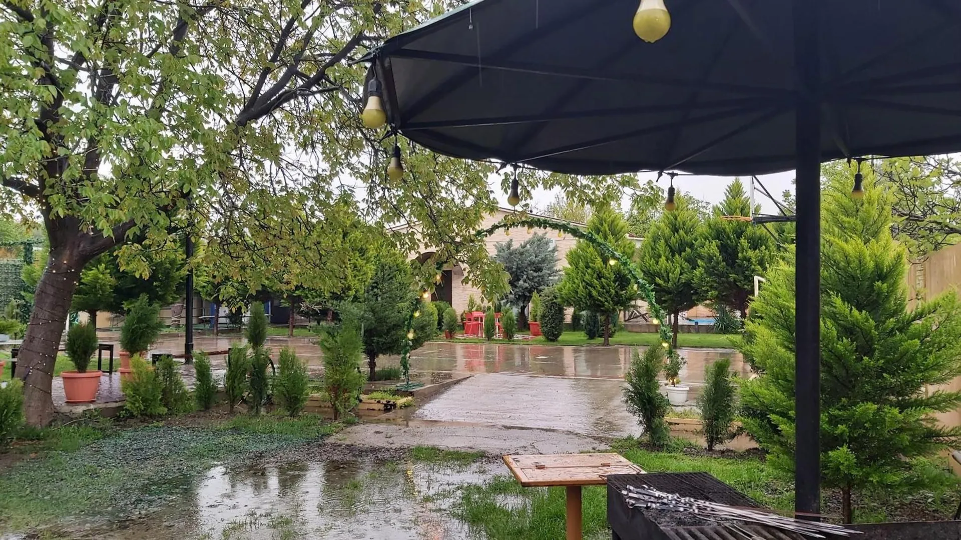 Green Land Tbilisi Georgia