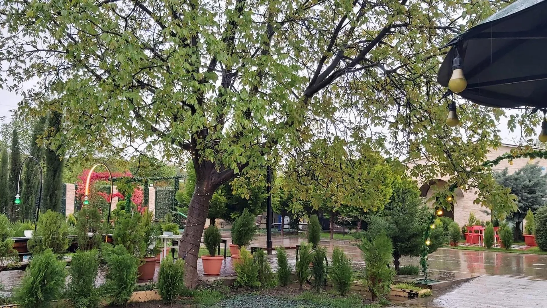Villa Green Land Tbilisi Georgia